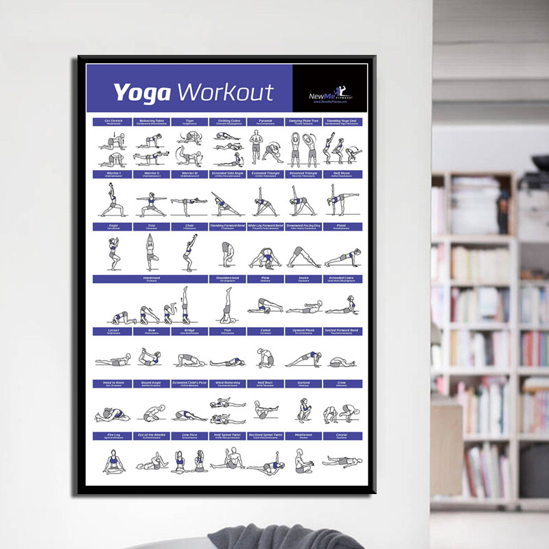 Home Gym York - Vücut egzersiz eğitim tablosu, egzersiz ev