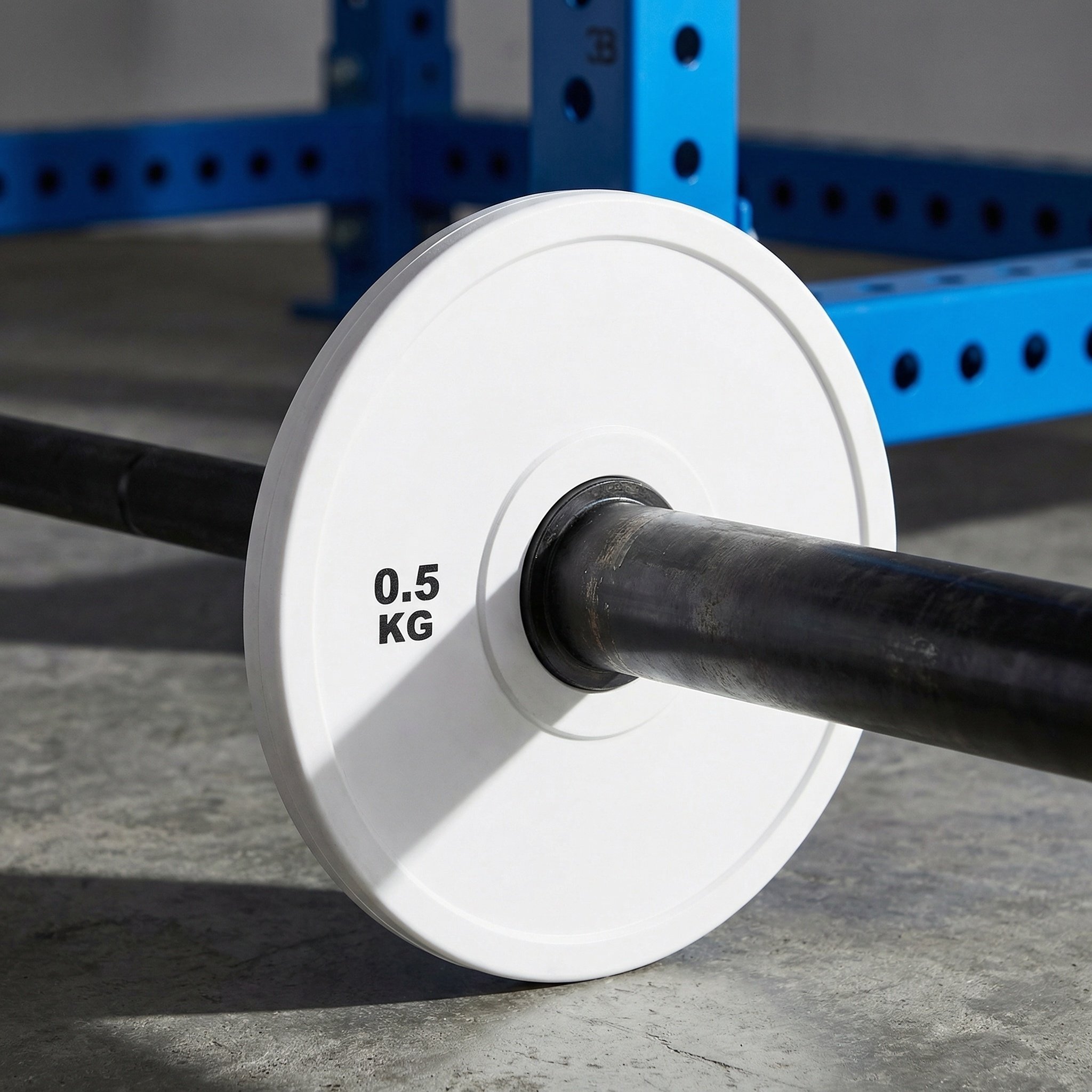 Weight Plate Bumper - 2 adet kauçuk kaplı halter plakaları