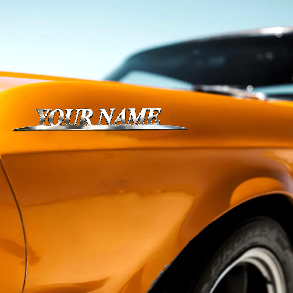 Metal Trendy İsiminizin Yazılı - Weight Plate Bumper incelemesi ve fiyatı